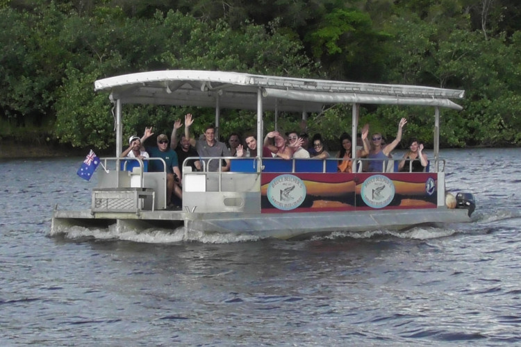 daintree river crocodile tours